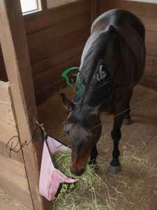 Botas de Silicona Portátiles para Caballos |   Bolsa de Alimentación para Caballos Resistente con Correa para Colgar, Color y Logotipo Personalizables - Product Image 3