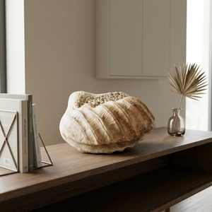 Escultura de Conchas Marinas Hecha a Mano por Shellia, Decoración Rústica Costera para Mesa, Obra de Arte Decorativa para el Hogar, Tazón de Conchas - Product Image 5