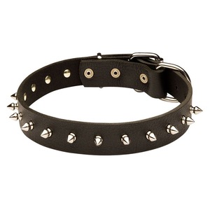 Elegante Collar de Cuero para Perro con Ajuste Regulable y Hebilla Resistente para Compradores Internacionales de Divine International - Product Image 2