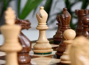 Pions d'échecs professionnels Staunton série Player, roi de 3 pouces en bois de sheesham et de buis, au meilleur prix - Product Image 3