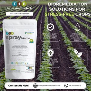 Engrais biologique de bioactivateur de croissance de plantes d'agriculture commerciale - Product Image 5