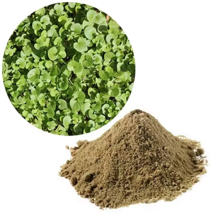Poudre de feuilles de Brahmi de qualité supérieure, 100 % naturelle, qualité cosmétique, poudre de feuilles de Bacopa Monnieri, favorise la santé de la peau et des cheveux - Product Image 1