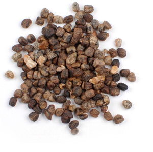 Elettaria cardamomum Semillas de cardamomo verde para aplicaciones alimentarias y de bebidas - Product Image 2
