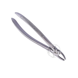 Forceps d'extraction dentaire de haute qualité en acier inoxydable – Instrument de précision pour clinique - Product Image 5