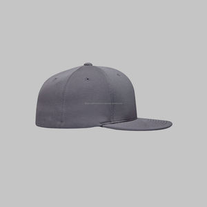 Chapeau Diy Publicité Équipe Impression Logo Voyage Travail Casquette de Baseball Brosse Personnalisée Broderie Hip Hop Bord Plat - Product Image 6