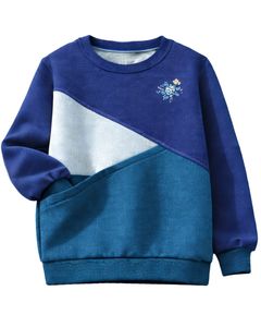 Sudadera de Mujer en Bloques de Color Azul Rey y Verde Azulado, de Forro Polar Suave, Cuello Redondo, Informal, para Invierno, con Detalle Bordado, Prenda Superior de Moda - Product Image 1