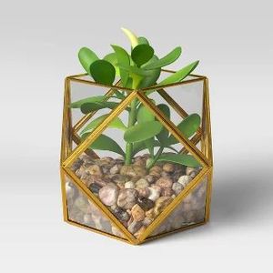 Terrario de Vidrio Negro Personalizado con Forma de Pirámide, Macetero Moderno de Vidrio para Plantas de Interior, Suculentas, Plantas Aéreas y Terrarios DIY - Product Image 6