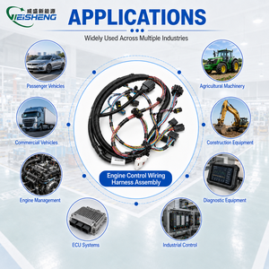OEM/ODM 1kd Excavator Engine Ecu Wire Harness 4g63 Xenon 3008connector untuk Dijual - Product Image 2