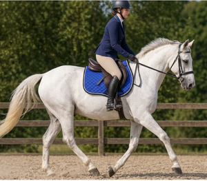 Equipment Wholesale Horse Saddle Pad | Breathable Equestrian Saddle Cloth with Faux <b>Fur</b> Trim | Horse Riding Equipment Wholesale - Product Image 2