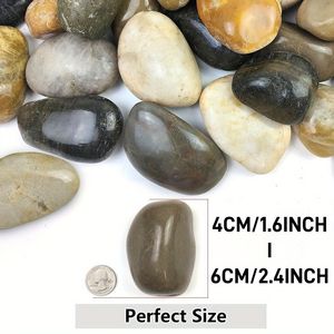 "Multicolor 3-4 Inch Polished <b>Pebbles</b> for Indoor/Outdoor Use-Decorative <b>River</b> Rocks for Plants" - Product Image 4