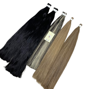 Colecciones a granel de cabello humano vietnamita estirado doble al por mayor con extremos superestirados y colores mezclados - Product Image 1