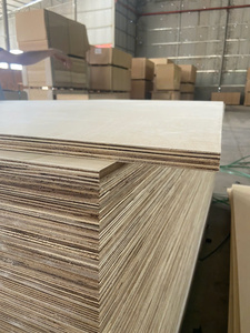 Láminas de Madera Contrachapada de Abedul sin Acabado, Decoración de una Cara, Grado A2, E1 Formaldehído, para Uso en Muebles de Interior, Diseño Minimalista - Product Image 4