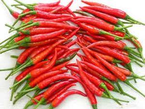 พริกตาไก่สดจากเวียดนาม / พริกเผ็ดขนาดเล็ก จำหน่ายจำนวนมาก - Product Image 1