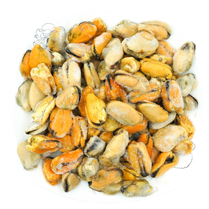 Carne de Mejillón Cocida Congelada de Alta Calidad al por Mayor/Carne de Mejillón Cocida IQF de Origen Chino - Product Image 6