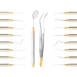 Kit de Herramientas para Higienista Dental, Juego de 10 Piezas de Instrumentos de Limpieza Dental Profesionales de Acero Inoxidable, Herramientas Dentales Manuales, Pakistán - Product Image 1