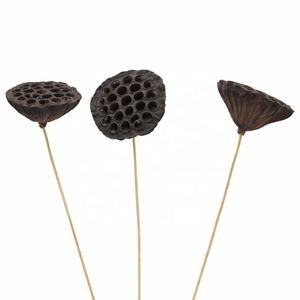 ก้านตกแต่งทำมือสำหรับกระถางดอกไม้ เหมาะสำหรับทุกเทศกาล  ผลิตจากฝักบัวธรรมชาติแท้เกรด A สำหรับตกแต่งบ้าน - Product Image 4