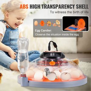 Incubatrice di Alta Qualità con Capacità di 24 Uova, Controllo Automatico di Temperatura e Umidità, con Vassoio Rotante per Allevamento Avicolo - Product Image 5