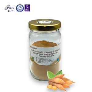 Tónico Natural Tailandés en Polvo con Hierbas y 5% de Pinostrobin, Ginseng Tailandés de Raíz Silvestre Cultivada, Marca KMP - Product Image 1