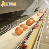Équipement d'Élevage Retech H Type Automatique pour Poules Pondeuses avec Système de Collecte d'Œufs