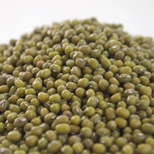 High-Quality Sortexed Mung <b>Beans</b> Clean, Uniform Green Gram Ideal for Export Markets - Product Image 1