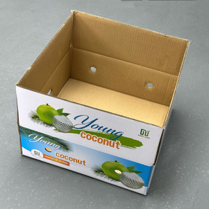 Caja de Cartón Corrugado para Exportación de Coco, Ventilada, Ecológica, Hecha con Materiales Reciclados, Impresión Offset, Embalaje para Fruta Fresca - Product Image 1