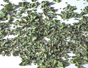 Feuilles de marruechons séchées de qualité export, vente en gros, exportateur de feuilles de marruechons séchées ANGLE - Product Image 6