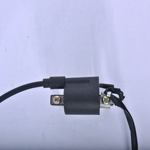 Bobina de encendido de alta calidad para 100cc, recién llegada, precio al por mayor, bobina de encendido para motocicleta de 100cc fabricada en Pakistán - Product Image 5