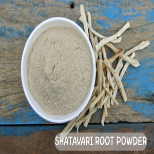Polvo de Raíz de Shatavari Blanco de Grado Alimenticio Premium, 100% Puro y Natural, Polvo de Shatavari Seco para el Apoyo del Bienestar Hormonal Femenino - Product Image 2