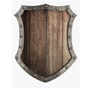 Bouclier de guerrier viking médiéval en bois massif, haute résistance, fait main, pour festivals historiques, événements costumés, expositions, décoration murale - Product Image 5
