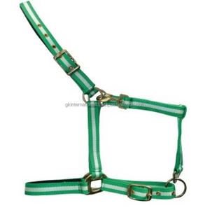 Diseño personalizado de doble tono Multocour Nylon Horse Halter impermeable completamente ajustable Halter caballo con cuerda de plomo a juego - Product Image 2