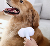 Brosse de toilettage en acier inoxydable pour animaux de compagnie peigne de massage personnalisation en gros fournisseur d'outils de soins de beauté pour animaux de compagnie