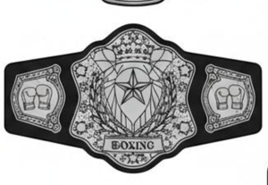 Fabricante personalizado ligero Universal Fantasy Football Championship Title Belt Grappling Style - Product Image 3