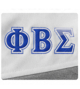 Zeta Phi Beta Sorority Embroidery <b>Men</b> 100% Cotton Fleece Hooded Winter Tracksuit ZPB Sorority Embroidered Custom Made Greek - Product Image 4