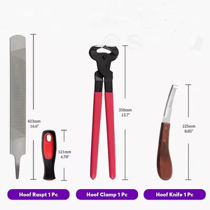 Kit de 4 outils de coupe de sabots réutilisables pour équitation, pinces à sabots, instruments chirurgicaux, ensemble d'outils de toilettage pour bétail - Product Image 2