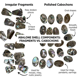 เปลือกหอยเป๋าฮื้อขัดเงาธรรมชาติ |   เปลือกหอยเปาอ่าสีรุ้งสำหรับงานสมัดจิ้งจอก งานเครื่องประดับ และของตกแต่งบ้าน - Product Image 6