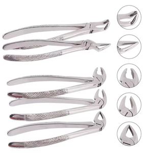 ชุดคีมถอนฟันสแตนเลส ชุดเครื่องมือผ่าตัดทางทันตกรรม - Product Image 6
