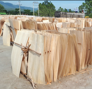 Chapa de madera en oferta - chapa de madera de acacia/pino/teak/caucho secada al horno - chapas de caucho para la fabricación de madera contrachapada - Product Image 4