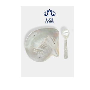 Cuillère en coquillage durable de haute qualité |   Cuillère en nacre naturelle pure et durable, vente en gros - Product Image 1