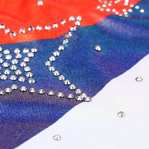 New Style Custom Made Acrobatic Gymnastics Uniform Long Sleeves Women Acrobatic Gymnastics Uniform - Product Image 6