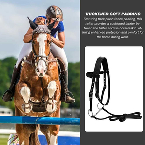 Wholesale Customizable Nylon English Saddle Horse <b>Halters</b> Various Sizes with Pewter Buckles and PP PVC Rope Bridle Accessory - Product Image 4