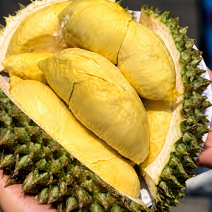 VIETNAM, la MEJOR PULPA DE DURIAN CONGELADA PREMIUM// DURIAN MONTHONG CONGELADO MÁS VENDIDO, SABOR DULCE// SRA. ALINA - Product Image 6