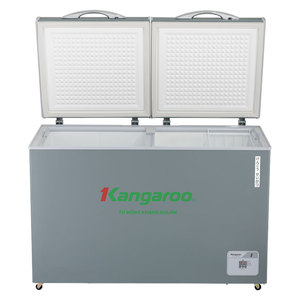 Congélateur coffre à 2 compartiments, capacité 200L 300L 400L 500L, portes doubles, fabriqué au Vietnam - Product Image 4