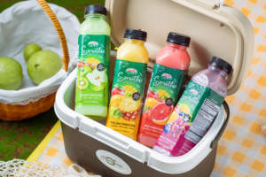 Bebida de Smoothie de 4 Sabores 500 ml (16.9 oz) Muestra Gratis NAWON Bebida al por Mayor en Vietnam Bebida de Jugo de Fruta Natural OEM HALAL - Product Image 4