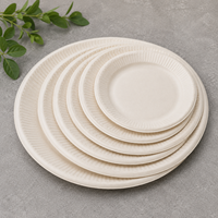 Assiettes en papier jetables biodégradables imprimées sur mesure, vaisselle à emporter
