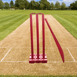 Beach <b>Cricket</b> <b>Set</b> Promotional <b>Plastic</b> <b>Cricket</b> <b>Set</b> Kids Adults Outdoor Backyard Lawn Game Complete Bat Ball Wickets Kit - Product Image 2