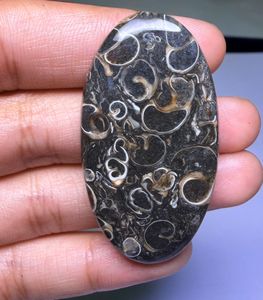 หินอาเกต TURRITELLA แบบคาโบชอง ขายส่งเป็นล็อตตามน้ำหนัก มีรูปทรงและขนาดต่างๆ ใช้สำหรับทำเครื่องประดับ - Product Image 3