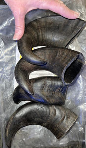 Friandises à mâcher pour chiens en corne de buffle naturelle, riches en protéines, très vendues, excellent rapport qualité-prix, friandises pour animaux de compagnie, taille personnalisable, faites à la main - Product Image 3