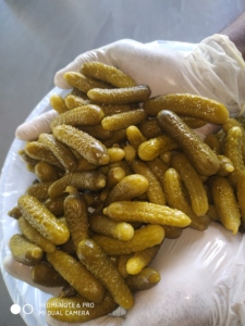 Cornichons marinés GGI <span class=keywords><strong>en</strong></span> saumure, goût sucré, cornichons frais <span class=keywords><strong>en</strong></span> <span class=keywords><strong>conserve</strong></span> du Tamil Nadu, durée de conservation de 18 mois - Product Image 5