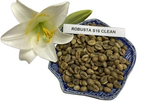 Best Selling 100% Natural Robusta Coffee <b>Beans</b> Green Process Jute <b>Bag</b> Top Manufacturer Wholesale Price Ready for Export - Product Image 4