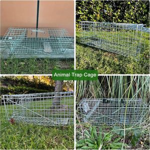 Piège à petits animaux efficace, cage de 24 x 8 x 8 pouces pour rats, chatons et ratons laveurs - Product Image 5